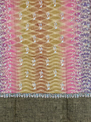 Pashmina Handloom Sozni Shawl