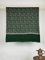 Pashmina Women's Handloom Sozni Shawl