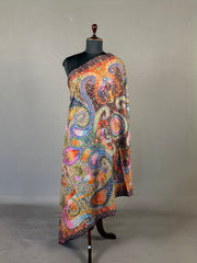 Pashmina Handloom Kalamkari Shawl