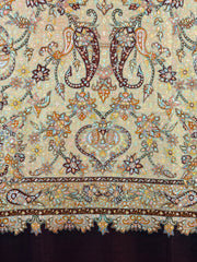 Pashmina Handloom Kalamkari Shawl