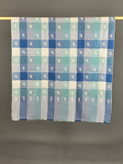 Pashmina Women's Handloom Sozni Shawl