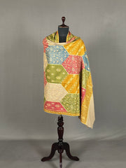Pashmina Women's Handloom Sozni Shawl